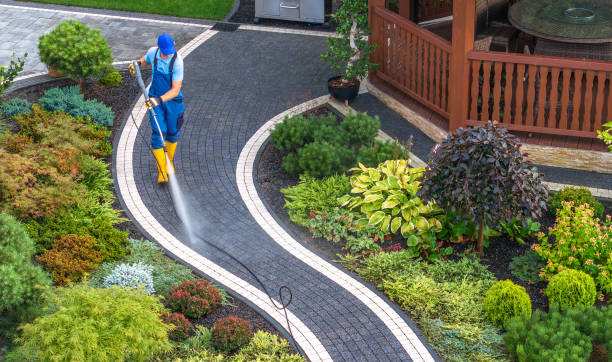 Best Pressure Washing Near Me  in Pueblo, CO